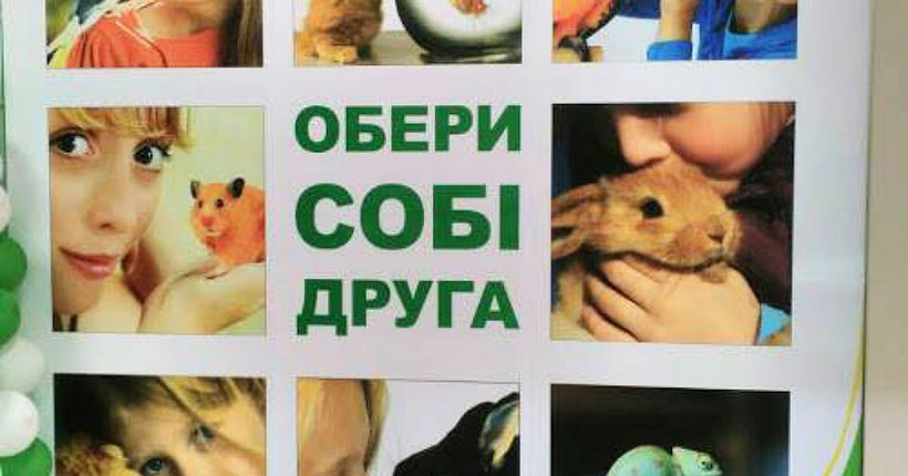 Друк банерів